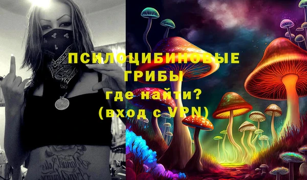 прущий лед Вязники
