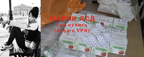 индика Верея
