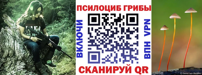 Псилоцибиновые грибы MAGIC MUSHROOMS Егорьевск